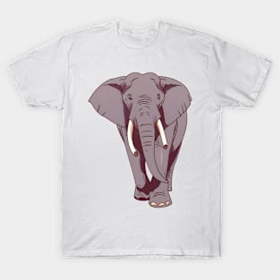 Animal - Elephant T-Shirt